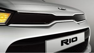 Radiator grille